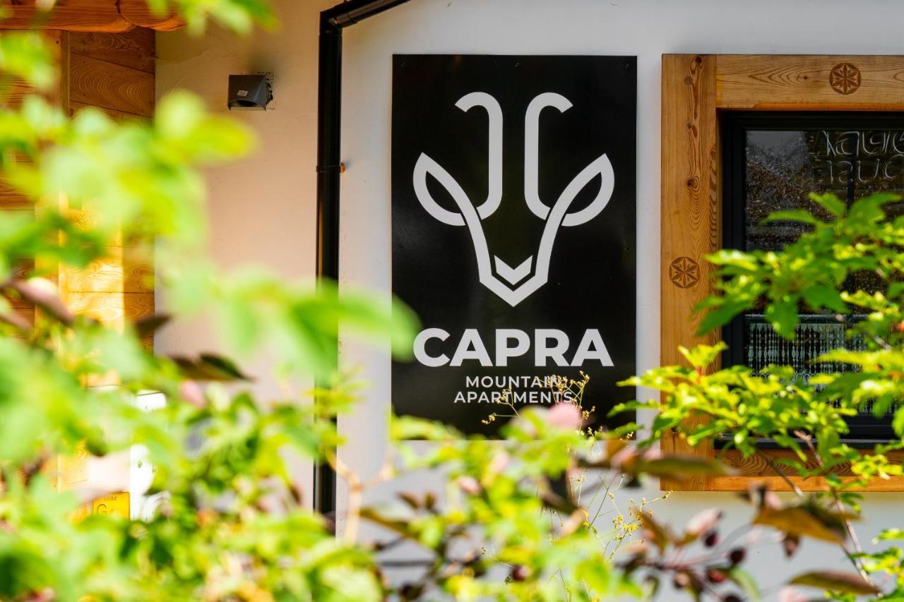 Villa Capra - Apartments Adult Only Zakopane Ngoại thất bức ảnh