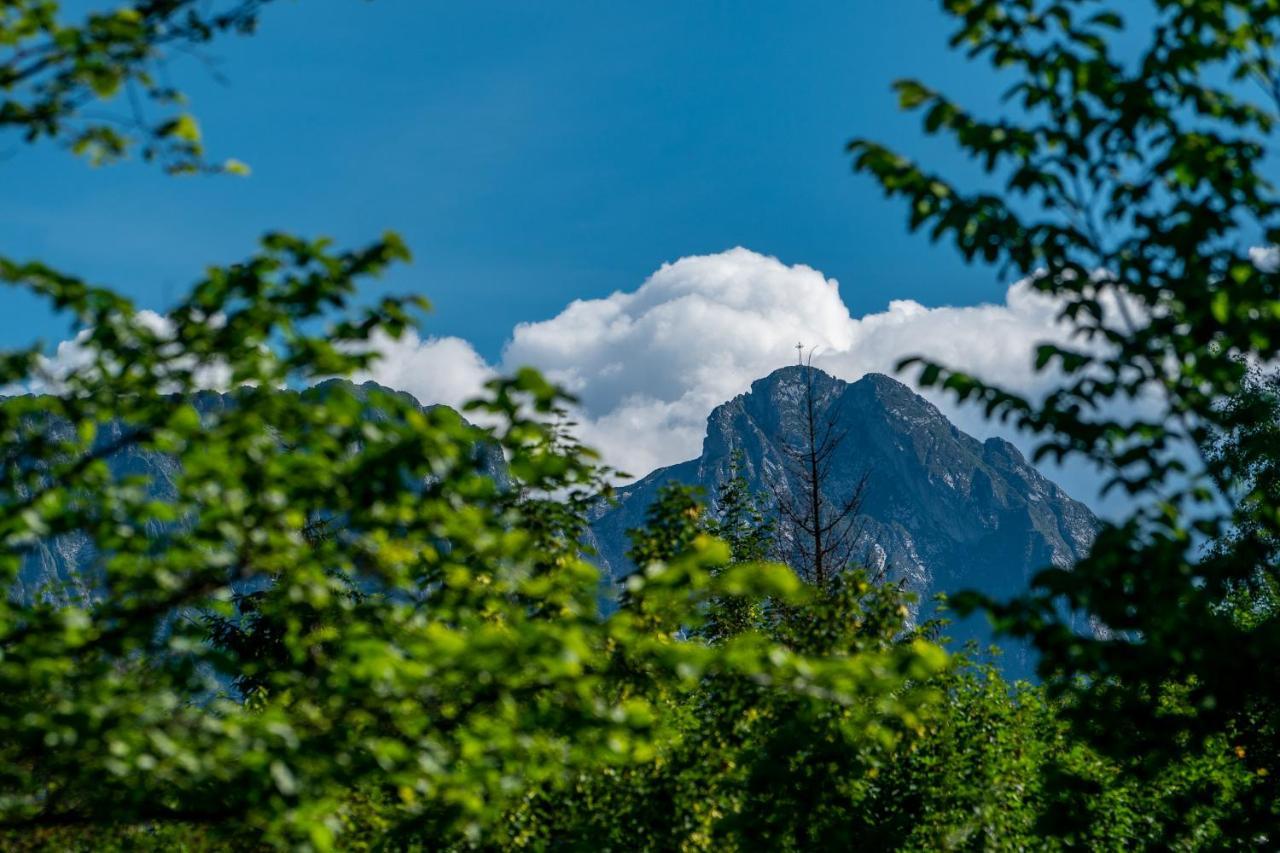 Villa Capra - Apartments Adult Only Zakopane Ngoại thất bức ảnh